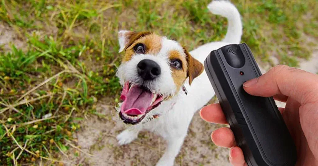 Ingenious Device Stops Dog Barking and Makes Your Dog Happy